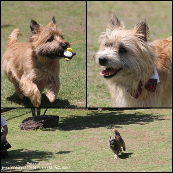 2012050616.jpg