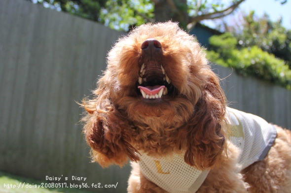2012050618.jpg
