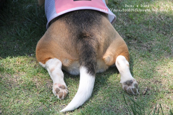 2012050619.jpg