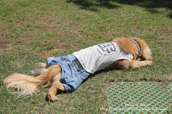 2012050620.jpg