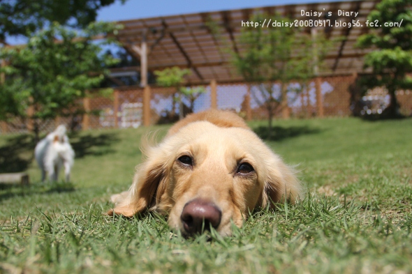 2012050621.jpg