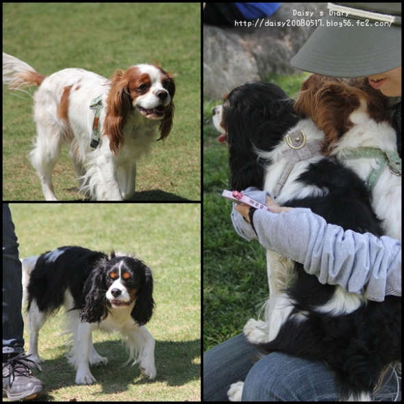 2012050622.jpg