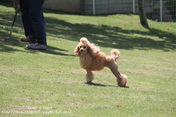 2012050623.jpg