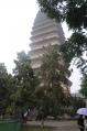 DSC_4097b.jpg