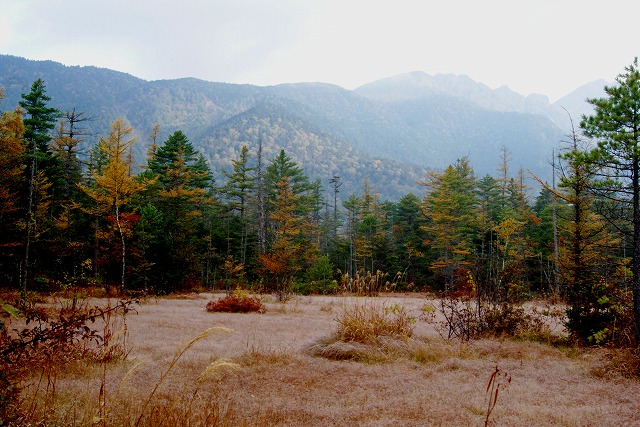 DSC06502.jpg
