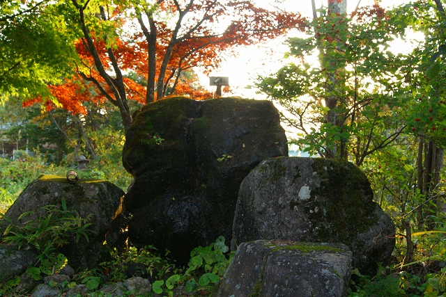 DSC06677.jpg