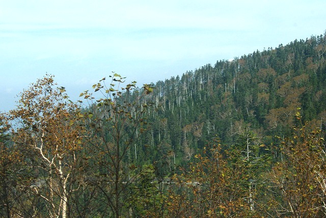 DSC06718.jpg