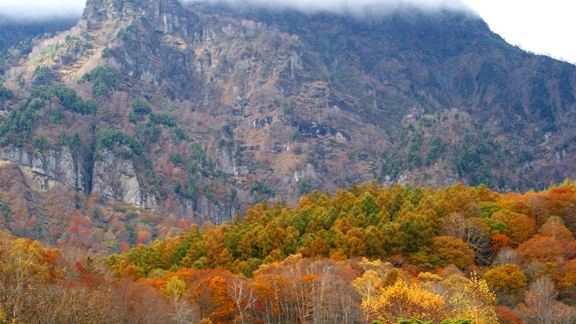 DSC07320.jpg