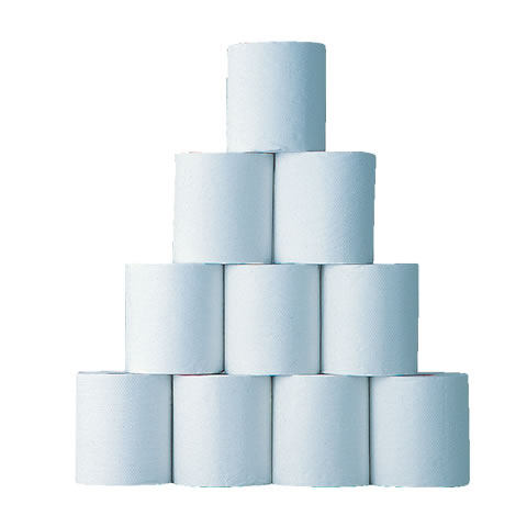 toiletpaper-100m_b.jpg