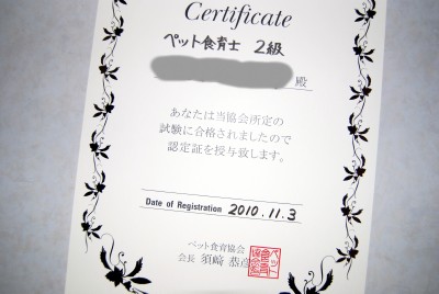 勉強