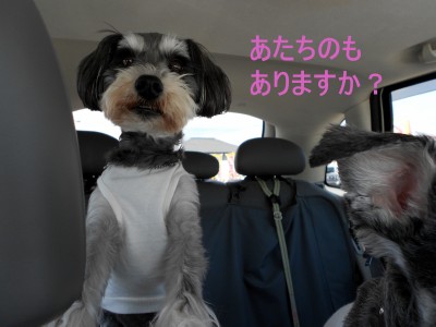 あたち