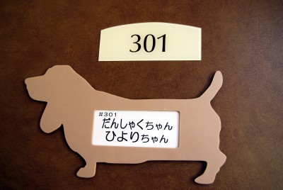 name.jpg