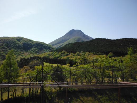 DSCF9891.jpg