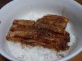 DSC07544.jpg