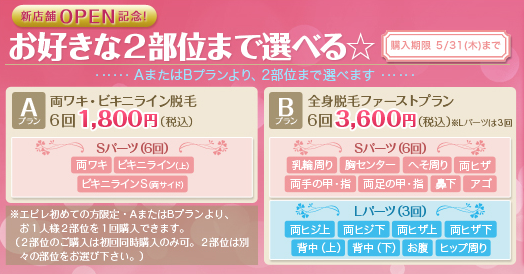 エピレの選べるプラン