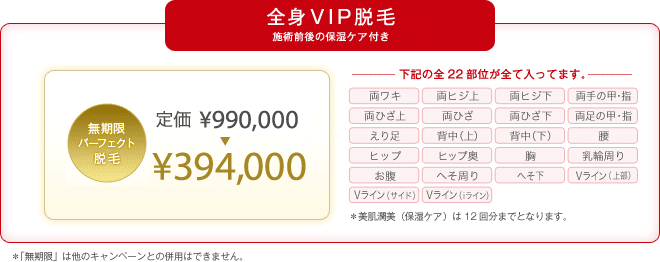 銀座カラー|全身VIP脱毛無期限コース