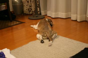 IMG_4337_convert_20141006120545.jpg