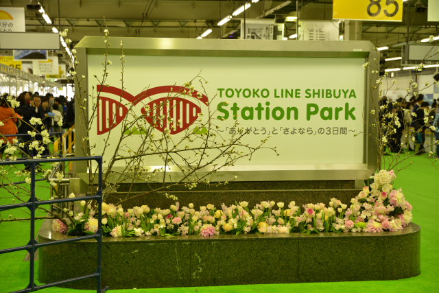 DSC_2196.jpg