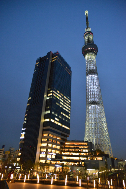 DSC_2226.jpg