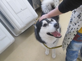 2013_1211_153600-IMG_3257.jpg