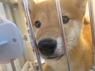 2013_1212_193549-IMG_3271.jpg