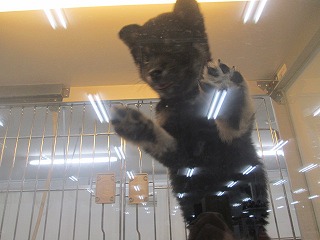 2013_1212_193819-IMG_3281.jpg