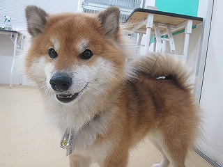 2013_1213_192455-IMG_3318.jpg