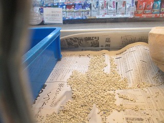 2013_1217_191738-IMG_3393.jpg