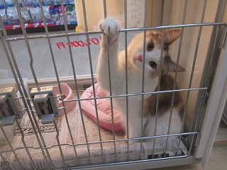 2013_1224_192419-IMG_3602.jpg