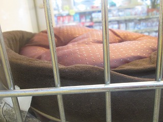 2013_1225_193715-IMG_3623.jpg
