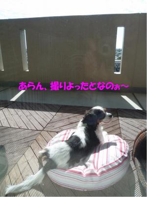 dc102402+・コ・具セ滂スー1_convert_20111024191451
