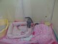 r600x600 (3)