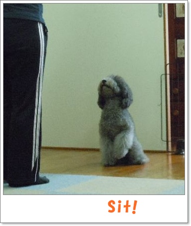 sit-1.jpg