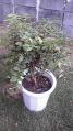 2011091207180000.jpg