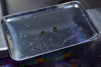 妄想アクアリウム