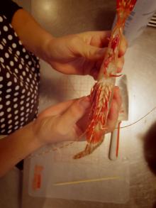 繝厄シ托シ狙convert_20131222095106