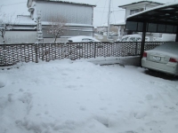 14年2月16日積雪2