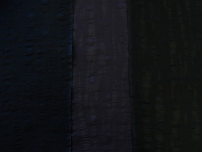 s-RIMG0781.jpg