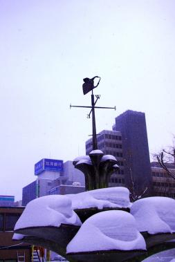 P2090575.jpg