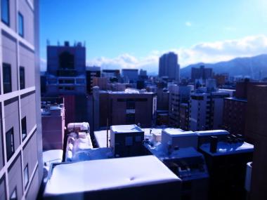 P2090671.jpg