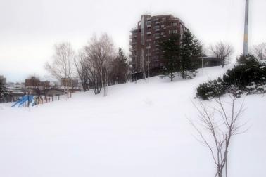 P2100867.jpg