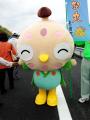 image (6)