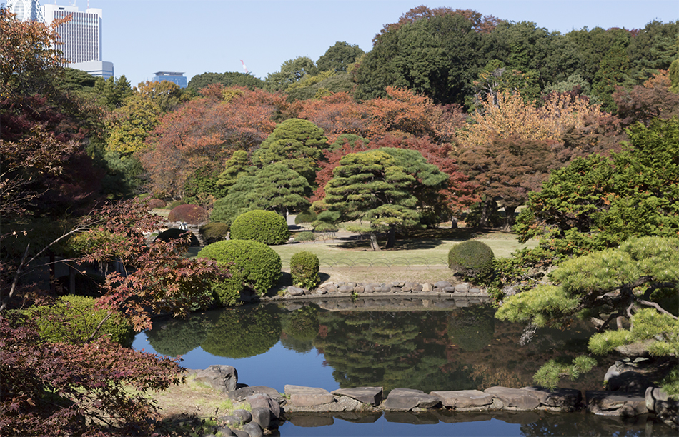 新宿御苑日本庭園の紅葉131122