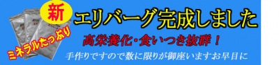 2014-2-8エリバ