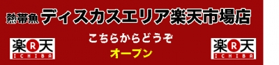 2014-2-6楽天