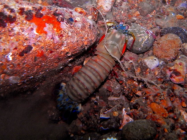 M9156461-2.jpg