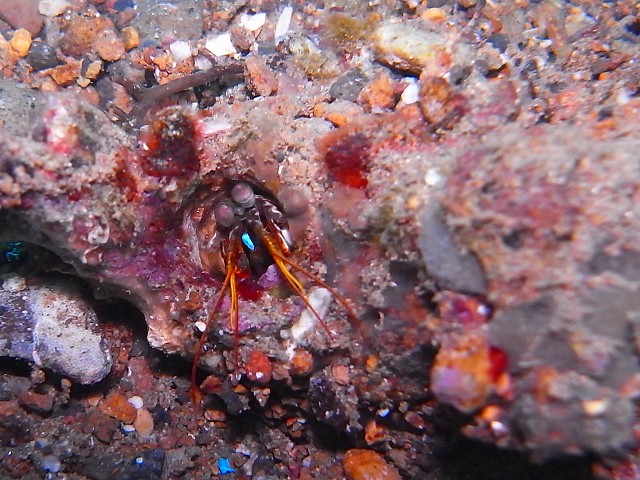 M9156477-2.jpg