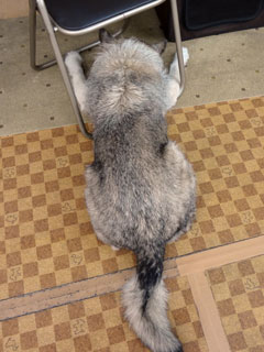 DSC04417.jpg