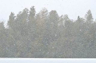 DSC_0053.jpg