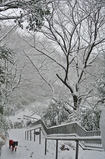 DSC_0078.jpg